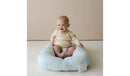 Infant Lounger - Blue