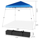 10 x 10 Easy-up Canopy with Slant Leg
