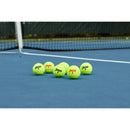 Championship Extra Duty Tennis Balls - 4 Pack