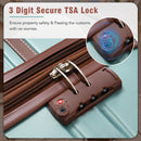 20" Luggage 1 Piece With Tsa Lock, Lightweight Suitcase Spinner Wheels, Carry on Vintage Luggage