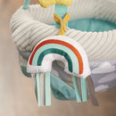 Door Jumper with 4 Removable Toys