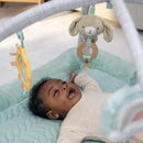 Calm Springs Plush Activity Gym - Chic Boutique
