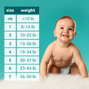 Baby-Dry Diapers - Size 1 - 120 Ct