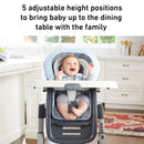 DuoDiner DLX 6-in-1 Highchair - Mathis
