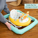 Disney Baby Winnie the Pooh Once Upon a Walk Activity Walker