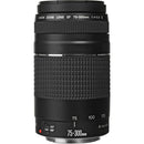 Canon EOS Rebel T6 18-55mm + 75-300mm + Bag Kit