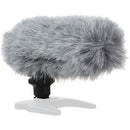 Canon Directional Stereo Microphone DM-100