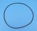 Caretaker (Jandy Zodiac) O-Ring (Single Large O-Ring Only) 1-13-1