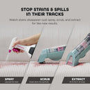 Cordless Portable Spot & Odor Remover System