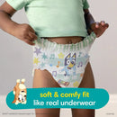 18ct Potty Training Underwear, Size 4T-5T - Bluey