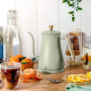 Electric Gooseneck Kettle - Sage Green