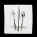 20pc Doria Stainless Steel Flatware Set