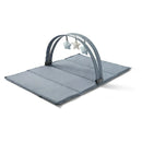Pack 'n Play Anywhere Dreamer Infant Playard - Pristine