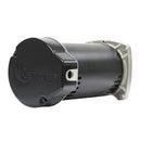 Century Centurion Pro Pool Pump Motor Square Flange 1.65 THP 1-Speed 115/230V 48Y Frame | HSQ165