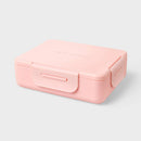 Adult Bento Boxes - Pink