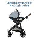 Mico Pro Baby Infant Car Seat- Seascape
