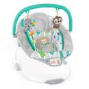 Comfy Baby Bouncer with Vibrating Infant Seat & Taggies