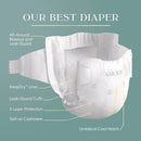 186 Count Pampers Amore, Size 2 (10-22 lbs)