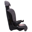 DX 2-in-1 Harness Booster Car Seat - Sweetberry
