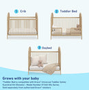 Convertible Crib and Foam Mattress Bundle - Driftwood