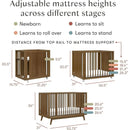 Palma 8-in-1 Convertible All-Stages Crib with Bassinet & Toddler Bed Kits - Natural Walnut