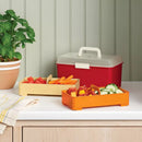 Large Snackle Box - Warm