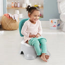 3-in-1 Toddler Toilet Training Potty Chair - Step Stool