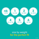 Baby-Dry Size 1 Diapers - Jumbo Pack