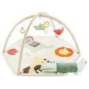 Geometric Wonders Activity Gym
