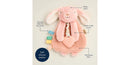 Itzy Ritzy Lovey Toy - Bunny