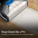 Pet Hair Pick-Up Carpet Cleaner - Gray