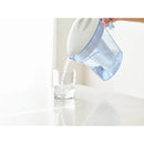 Replacement Filters 2pk