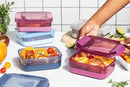 Plastic Meal Prep Set - Elderberry
