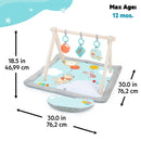 Winnie The Pooh Tummy Time Baby Playmat - Animal Theme