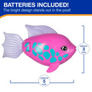 Swimming Pool Dive Toy - Tuna Turner