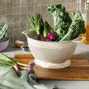 5qt Stainless Steel Colander Cream - ™