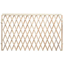 Evenflo Expansion Walk Thru Room Divider Gate