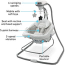 DuetConnect LX Seat & Bouncer - Redmond