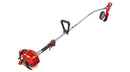 Shindaiwa LE235 Handheld Edger 21.2cc Engine