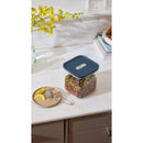 Medium Glass Airtight Container - Mist