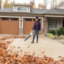 Stihl BGA 86 Handheld Battery Blower (Battery & Charger Sold Separately)
