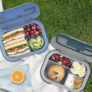 XL Lunch Storage Containers - Blue - 2-Pack