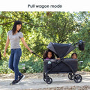 Expedition LTE 2-in-1 Stroller Wagon - Madrid Black