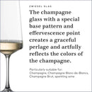 Champagne Flute Set - Crystal