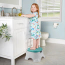 3-in-1 Toddler Toilet Training Potty Chair - Step Stool