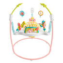 Infant Activity Center - Grows with Child