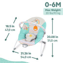 Disney Baby Vibrating Bouncer - Winnie the Pooh