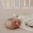 Organic Cotton Muslin Crib Sheets Pack - Gumdrop + Petal
