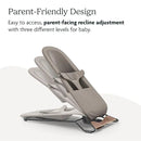 2-in-1 Bouncer and Seat - Grey