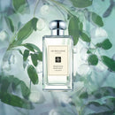 Wood Sage and Sea Salt Cologne